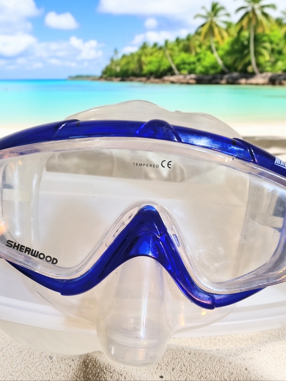 Snorkel Set Velocity Fins 7-8 Magnum EX.Mask and Oceanic Snorkel, Used One Time - Picture 3 of 9